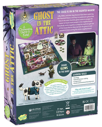 Ghost in the Attic